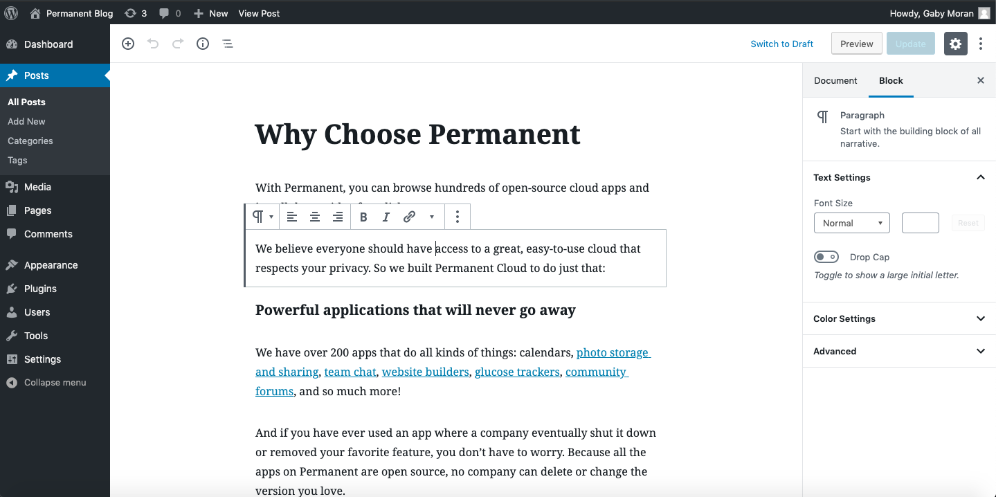 Website with Wordpress preview